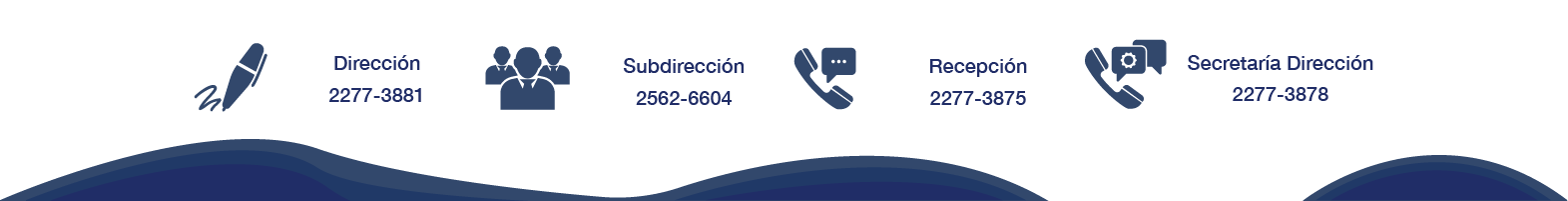 Tira de contactos